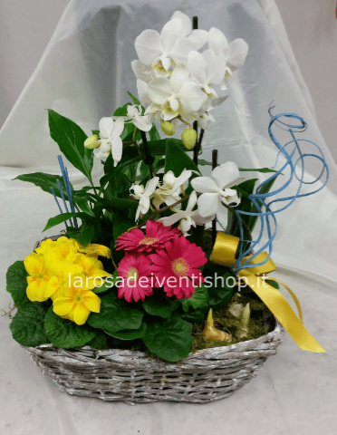 Composizione primaverile con orchidea